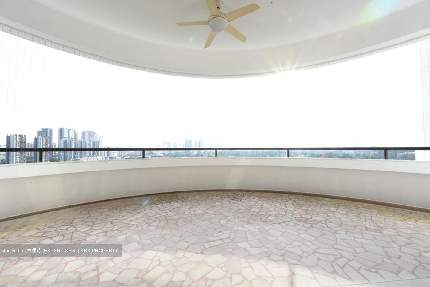 Regency Park (D10), Condominium #622160841